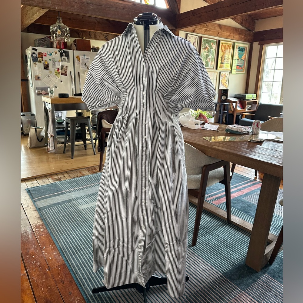 Esquise Tobie Dress (Anthropologie)